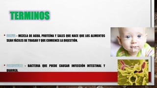 TERMINOS
- MEZCLA DE AGUA, PROTEÍNA Y SALES QUE HACE QUE LOS ALIMENTOS
SEAN FÁCILES DE TRAGAR Y QUE COMIENCE LA DIGESTIÓN.
- BACTERIA QUE PUEDE CAUSAR INFECCIÓN INTESTINAL Y
DIARREA.
 