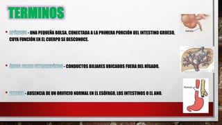 TERMINOS
- UNA PEQUEÑA BOLSA, CONECTADA A LA PRIMERA PORCIÓN DEL INTESTINO GRUESO,
CUYA FUNCIÓN EN EL CUERPO SE DESCONOCE.
- CONDUCTOS BILIARES UBICADOS FUERA DEL HÍGADO.
- AUSENCIA DE UN ORIFICIO NORMAL EN EL ESÓFAGO, LOS INTESTINOS O EL ANO.
 