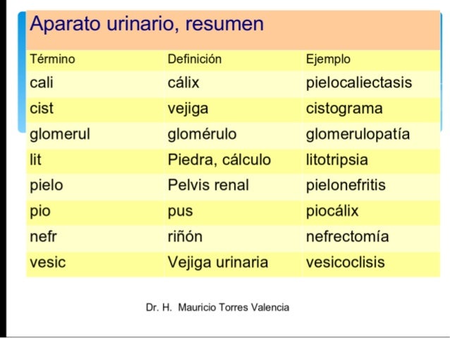 Terminología por aparatos y sistemas, prefijos y sufijos