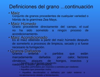 •  Maíz  Conjunto de granos procedentes de cualquier variedad o hibrido de la gramínea Zea Mays.  G rano  procedente  directamente  del  campo,  el cual no ha sido sometido a ningún proceso de acondicionamiento.  Es el maíz obtenido a partir del maíz húmedo después de someterlo a procesos de limpieza, secado y si fuese necesario la fumigación.  Granos  enteros  o  partidos  que  están marcadamente  dañados  por  calor,  factores climáticos,  ataques  de  hongos,  insectos  y roedores o estén germinados.  •  Aquellos con el germen oscurecido.  •  Aquellos perforados por insectos o comidos por roedores  •  Aquellos que presentan moho.  Aquéllos  decolorados o dañados por calor externo o recalentamiento debido a fermentación.  Definiciones del grano ...continuación  •  Maíz Húmedo  •  Granos Dañados  •  Maíz Acondicionado  