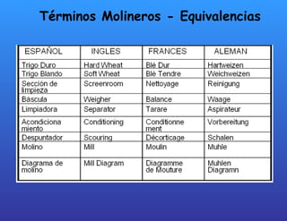 Términos Molineros - Equivalencias 