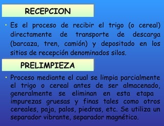 RECEPCION Es el proceso de recibir el trigo (o cereal) directamente de transporte de descarga (barcaza, tren, camión) y depositado en los sitios de recepción denominados silos. PRELIMPIEZA Proceso mediante el cual se limpia parcialmente el trigo o cereal antes de ser almacenado, generalmente se eliminan en esta etapa  impurezas gruesas y finas tales como otros cereales, paja, palos, piedras, etc. Se utiliza un separador vibrante, separador magnético. 