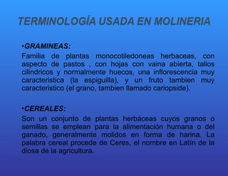 GRAMINEAS:   Familia de plantas monocotiledoneas herbaceas, con aspecto de pastos , con hojas con vaina abierta, tallos cilindricos y normalmente huecos, una inflorescencia muy caracteristica (la espiguilla), y un fruto tambien muy caracteristico (el grano, tambien llamado cariopside). CEREALES:   Son un conjunto de plantas herbáceas cuyos granos o semillas se emplean para la alimentación humana o del ganado, generalmente molidos en forma de harina. La palabra cereal procede de Ceres, el nombre en Latín de la diosa de la agricultura. 