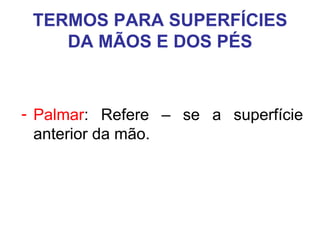 TERMOS PARA SUPERFÍCIES
DA MÃOS E DOS PÉS

- Palmar: Refere – se a superfície
anterior da mão.

 