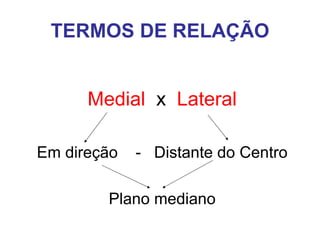 TERMOS DE RELAÇÃO
Medial x Lateral
Em direção

- Distante do Centro

Plano mediano

 