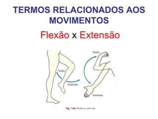 TERMOS RELACIONADOS AOS
MOVIMENTOS

Flexão x Extensão

 