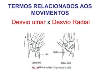 TERMOS RELACIONADOS AOS
MOVIMENTOS

Desvio ulnar x Desvio Radial

 