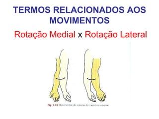 TERMOS RELACIONADOS AOS
MOVIMENTOS
Rotação Medial x Rotação Lateral

 