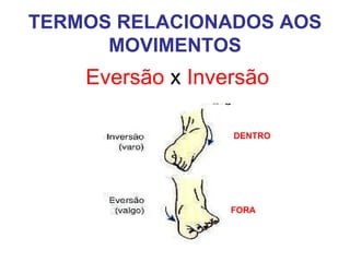 TERMOS RELACIONADOS AOS
MOVIMENTOS

Eversão x Inversão
DENTRO

FORA

 