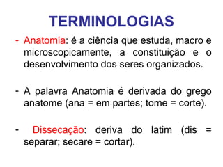 TERMINOLOGIAS
- Anatomia: é a ciência que estuda, macro e
microscopicamente, a constituição e o
desenvolvimento dos seres organizados.
- A palavra Anatomia é derivada do grego
anatome (ana = em partes; tome = corte).
-

Dissecação: deriva do latim (dis =
separar; secare = cortar).

 