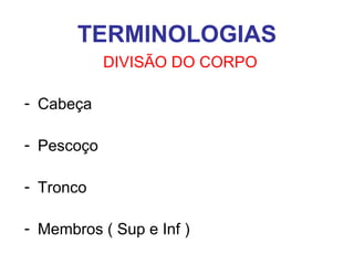 TERMINOLOGIAS
DIVISÃO DO CORPO
- Cabeça
- Pescoço
- Tronco
- Membros ( Sup e Inf )

 
