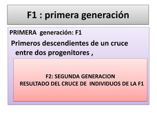 F1 : primera generación
PRIMERA generación: F1
Primeros descendientes de un cruce
entre dos progenitores ,
F2: SEGUNDA GENERACION
RESULTADO DEL CRUCE DE INDIVIDUOS DE LA F1