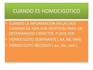 CUANDO ES HOMOCIGOTICO
• CUANDO LA INFORMACION EN LAS DOS
CADENAS DE ADN SON IDENTICAS PARA UN
DETERMINADO CARÁCTER. PUEDE SER:
• HOMOCIGOTO DOMINANTE ( AA, BB, MM)
• HOMOCIGOTO RECESIVO ( aa , bb , mm )
