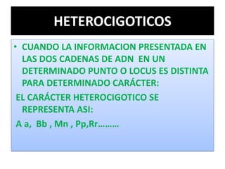 HETEROCIGOTICOS
• CUANDO LA INFORMACION PRESENTADA EN
LAS DOS CADENAS DE ADN EN UN
DETERMINADO PUNTO O LOCUS ES DISTINTA
PARA DETERMINADO CARÁCTER:
EL CARÁCTER HETEROCIGOTICO SE
REPRESENTA ASI:
A a, Bb , Mn , Pp,Rr………