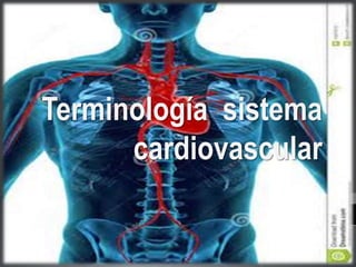 Terminología sistema
cardiovascular
 