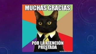 Terminologia farmaceutica