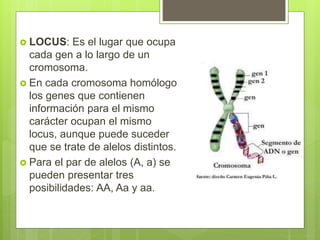 Terminologia_Genetica.pptx