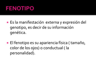  Es la manifestación externa y expresión del
genotipo, es decir de su información
genética.
 El fenotipo es su apariencia física ( tamaño,
color de los ojos) o conductual ( la
personalidad).
 