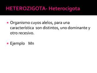  Organismo cuyos alelos, para una
característica son distintos, uno dominante y
otro recesivo.
 Ejemplo Mn
 