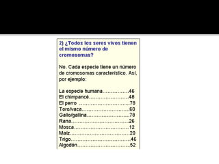 Numero de cromosomas
 