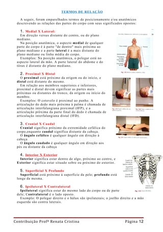 TERMOS DE RELAÇÃO

   A seguir, foram emparelhados termos de posicionamento e/ou anatômicos
 descrevendo as relações das partes do corpo com seus significados opostos:

   1. Medial X Lateral:
   Em direção versus distante do centro, ou do plano
 mediano.
   Na posição anatômica, o aspecto medial de qualquer
 parte do corpo é à parte "de dentro" mais próxima ao
 plano mediano e a parte lateral é a mais distante do
 plano mediano ou linha média do corpo.
   Exemplos: Na posição anatômica, o polegar está no
 aspecto lateral da mão. A parte lateral do abdome e do
 tórax é distante do plano mediano.

   2. Proximal X Distal
   O proximal está próximo da origem ou do início, e
 distal está distante do mesmo.
   Em relação aos membros superiores e inferiores,
 proximal e distal devem significar as partes mais
 próximas ou distantes do tronco, da origem ou início do
 membro.
   Exemplos: O cotovelo é proximal ao punho. A
 articulação do dedo mais próxima à palma é chamada de
 articulação interfalangiana proximal (IFP), e a
 articulação próxima da parte final do dedo é chamada de
 articulação interfalangiana distal (lFD).

   3. Cranial X Caudal
   Cranial significa próximo da extremidade cefálica do
 corpo,enquanto caudal significa distante da cabeça.
   O ângulo cefálico é qualquer ângulo em direção à
 cabeça
   O ângulo caudado é qualquer ângulo em direção aos
 pés ou distante da cabeça

   4. Interior X Exterior
  Interior significa estar dentro de algo, próximo ao centro, e
 Exterior significa estar situado sobre ou próximo do exterior.

   5. Superficial X Profundo
   Superficial está próximo à superfície da pele; profundo está
 longe da mesma.

   6. Ipsilateral X Contralateral
   Ipsilateral significa estar do mesmo lado do corpo ou de parte
 dele; Contralateral é o lado oposto.
   Exemplo: O polegar direito e o hálux são ipsilaterais; o joelho direito e a mão
 esquerda são contra laterais.




Contribuição Profª Renata Cristina                                    Página 12
 