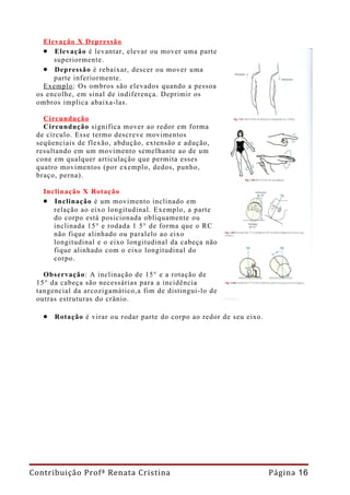 Elevação X Depressão
   • Elevação é levantar, elevar ou mover uma parte
      superiormente.
   • Depressão é rebaixar, descer ou mover uma
      parte inferiormente.
   Exemplo : Os ombros são elevados quando a pessoa
 os encolhe, em sinal de indiferença. Deprimir os
 ombros implica abaixa-las.

   Circundução
   Circundução significa mover ao redor em forma
 de círculo. Esse termo descreve movimentos
 seqüenciais de flexão, abdução, extensão e adução,
 resultando em um movimento semelhante ao de um
 cone em qualquer articulação que permita esses
 quatro movimentos (por exemplo, dedos, punho,
 braço, perna).

   Inclinação X Rotação
   • Inclinação é um movimento inclinado em
      relação ao eixo longitudinal. Exemplo, a parte
      do corpo está posicionada obliquamente ou
      inclinada 15° e rodada 1 5° de forma que o RC
      não fique alinhado ou paralelo ao eixo
      longitudinal e o eixo longitudinal da cabeça não
      fique alinhado com o eixo longitudinal do
      corpo.

   Observação: A inclinação de 15° e a rotação de
 15° da cabeça são necessárias para a incidência
 tangencial da arcozigamático,a fim de distingui-lo de
 outras estruturas do crânio.

   • Rotação é virar ou rodar parte do corpo ao redor de seu eixo.




Contribuição Profª Renata Cristina                                   Página 16
 
