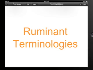 Ruminant Terminologies   