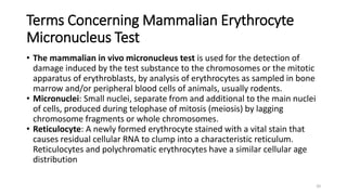 Terms Concerning Mammalian Erythrocyte
Micronucleus Test
• The mammalian in vivo micronucleus test is used for the detection of
damage induced by the test substance to the chromosomes or the mitotic
apparatus of erythroblasts, by analysis of erythrocytes as sampled in bone
marrow and/or peripheral blood cells of animals, usually rodents.
• Micronuclei: Small nuclei, separate from and additional to the main nuclei
of cells, produced during telophase of mitosis (meiosis) by lagging
chromosome fragments or whole chromosomes.
• Reticulocyte: A newly formed erythrocyte stained with a vital stain that
causes residual cellular RNA to clump into a characteristic reticulum.
Reticulocytes and polychromatic erythrocytes have a similar cellular age
distribution
20
 