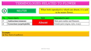 Terminologies related to flower (Complete, Incomplete, Perfect ...