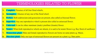 Terminologies related to flower (Complete, Incomplete, Perfect ...