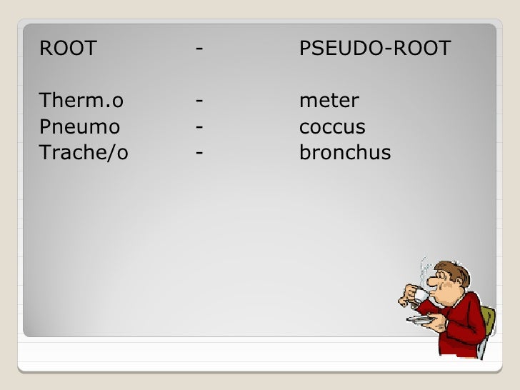 Terminologi medis i