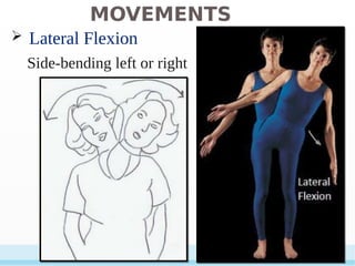 Lateral Rotaion Example Terminology.pdf