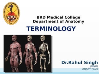 BRD Medical College
Department of Anatomy
TERMINOLOGY
Dr.Rahul Singh
(MBBS)
(MD 2ND
YEAR)
 