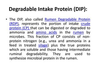 Degradable Intake Protein (DIP):
• The DIP, also called Rumen Degradable Protein
(RDP), represents the portion of intake crude
protein (CP) that can be digested or degraded to
ammonia and amino acids in the rumen by
microbes. This fraction of CP consists of non-
protein nitrogen (e.g., urea and ammonia in a
feed in treated silage) plus the true proteins
which are soluble and those having intermediate
ruminal degradability. They are used to
synthesize microbial protein in the rumen.
 