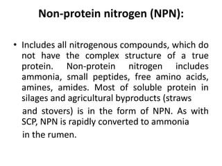 Non-protein nitrogen (NPN):
• Includes all nitrogenous compounds, which do
not have the complex structure of a true
protein. Non-protein nitrogen includes
ammonia, small peptides, free amino acids,
amines, amides. Most of soluble protein in
silages and agricultural byproducts (straws
and stovers) is in the form of NPN. As with
SCP, NPN is rapidly converted to ammonia
in the rumen.
 