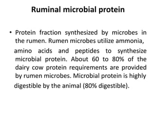 Ruminal microbial protein
• Protein fraction synthesized by microbes in
the rumen. Rumen microbes utilize ammonia,
amino acids and peptides to synthesize
microbial protein. About 60 to 80% of the
dairy cow protein requirements are provided
by rumen microbes. Microbial protein is highly
digestible by the animal (80% digestible).
 