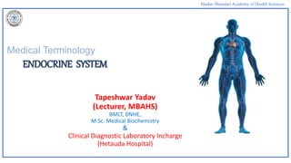 Madan Bhandari Academy of Health Sciences
Medical Terminology
Tapeshwar Yadav
(Lecturer, MBAHS)
BMLT, DNHE,
M.Sc. Medical Biochemistry
&
Clinical Diagnostic Laboratory Incharge
(Hetauda Hospital)
ENDOCRINE SYSTEM
 