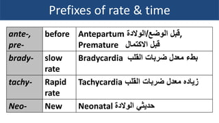 Terminology lect (1,2)_amany_mohamed_e_lshamy | PDF