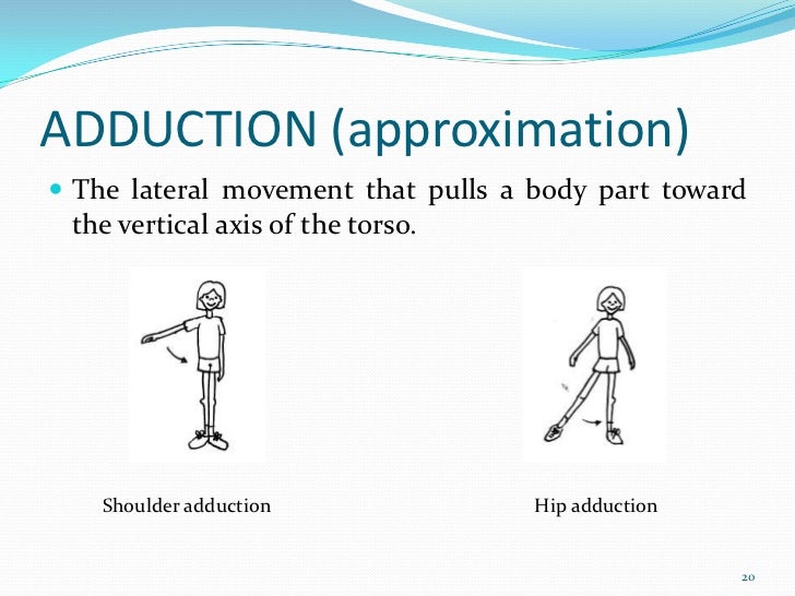 Terminology of joint movement