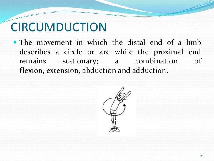 Terminology of joint movement