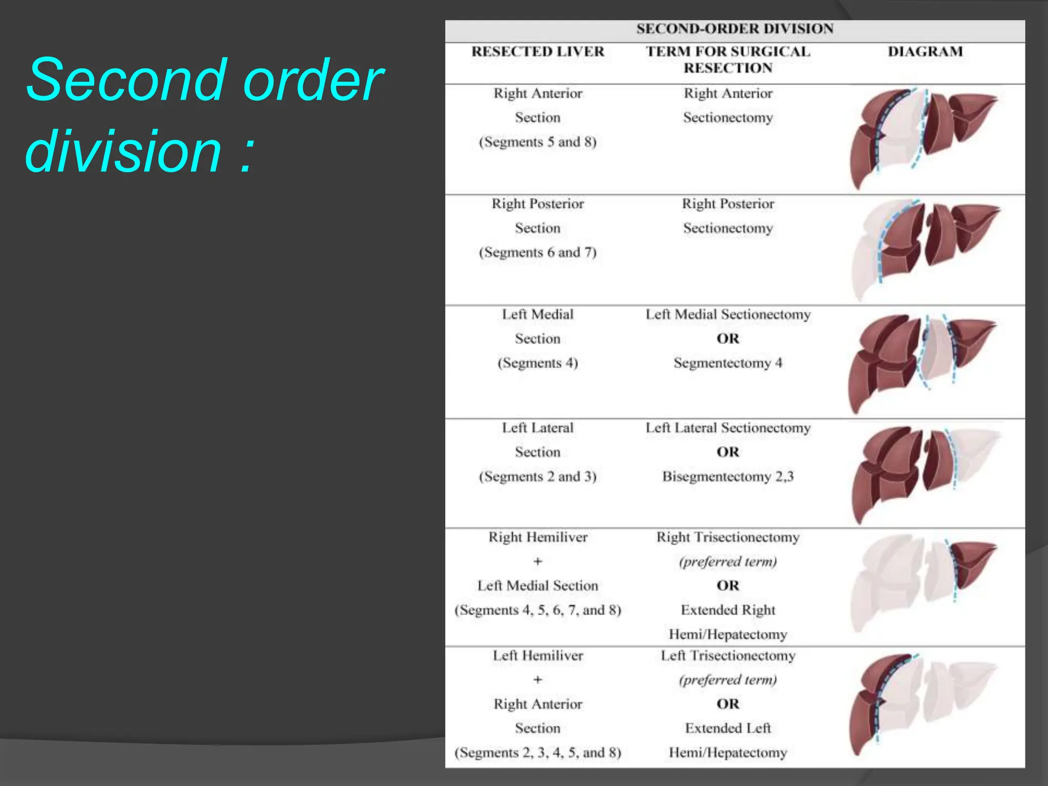 Terminology of liver anatomy and resections.pptx