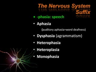 Terminology of nervous system ترمینولوژی سیستم عصبی | PPTX