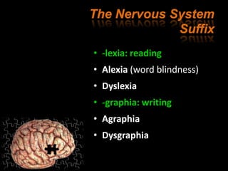 Terminology of nervous system ترمینولوژی سیستم عصبی | PPTX