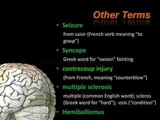Snatch Definition Terminology of nervous system ترمینولوژی سیستم عصبی | PPTX