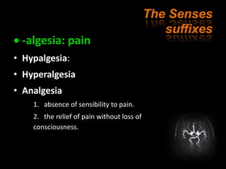 Terminology Of Nervous System ترمینولوژی سیستم عصبی