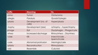 Medical Terminology of the body systems | PPT