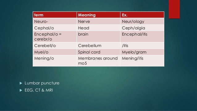 Image Result For Itis Definition Image Result For Itis Definition