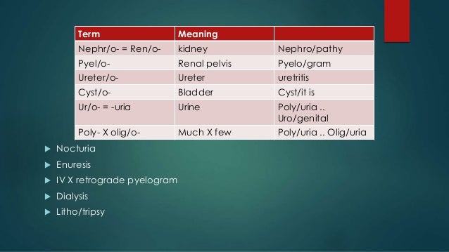 Medical Terminology of the body systems