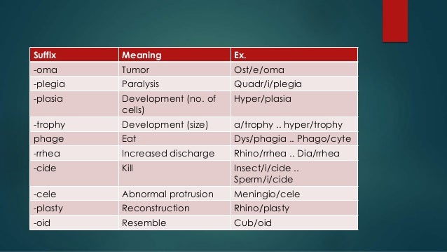 define myelography medical terminology