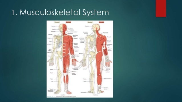 oma medical term